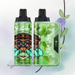 VapSolo VIKING 12000 Puffs Friss Borsmenta 22ml Nikotin