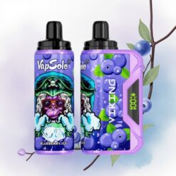 VapSolo VIKING 12000 Puffs Kékáfonya 22ml Nikotin