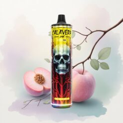 JNR Calavera 11000 Barack-Mangó Típus-C 850mAh 21ml