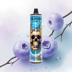 JNR Calavera 11000 Áfonya Jég 850 mAh 21ml 1.0ohm Mesh Coil