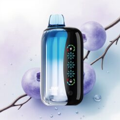 JNR Flex Ice 21000 Áfonya Jégszél Állítható 1000mAh Dual Mesh