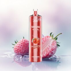 JNR Shisha Hookah 12000 Eperfagyl 750mAh 24ml