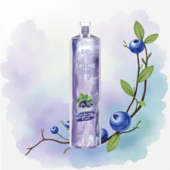 JNR Shisha Hookah 12000 Kékáfonya Borsmenta 750mAh 24ml