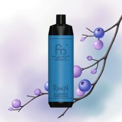 RandM Fumot Shisha 10000 Puffs Áfonya Rágó LED 850 mAh 0,5% nikotin