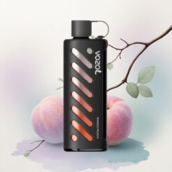 VOZOL Gear Shisha 25000 Puffs Mangós Barack Dual Mesh 1000mAh