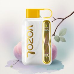 VOZOL STAR 40000 Puffs Mangó Barack 1000mAh 20mg nikotin